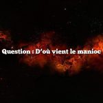 Question : D’où vient le manioc